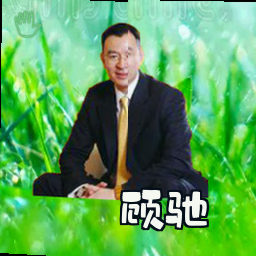 顾驰